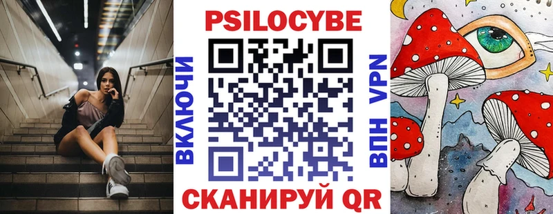 закладки Приволжск Псилоцибиновые грибы прущие грибы