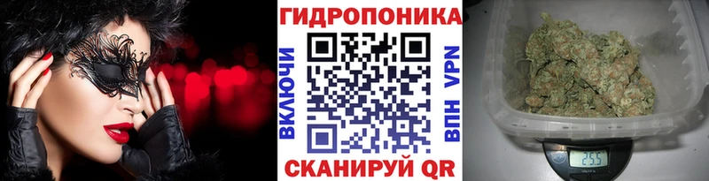 купить  сайты  Приволжск  Шишки марихуана VHQ 